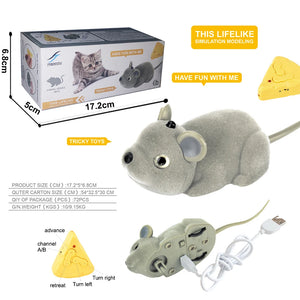 dual function mouse