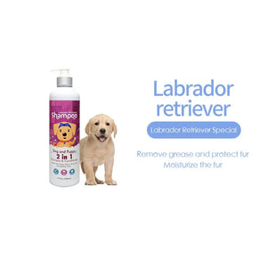 Labrador