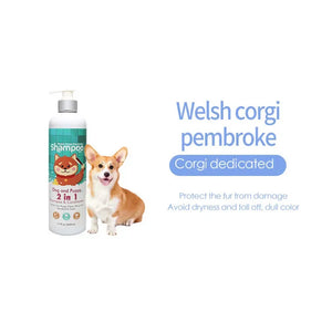 Corgi dedicated
