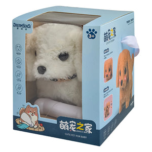 Bichon Frise