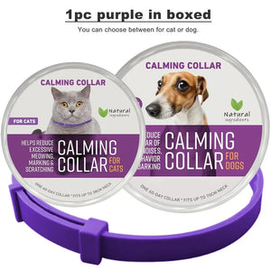 1pc Purple in boxed