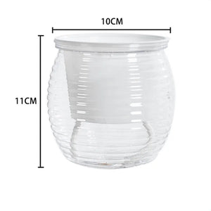 Transparent-1