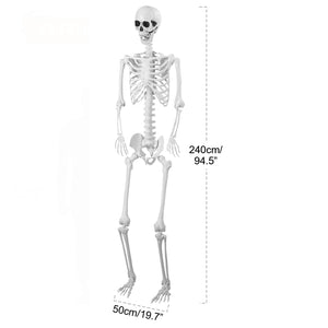 7.8FT