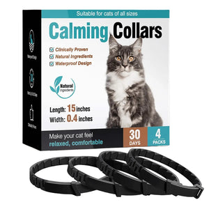 4pcs cat