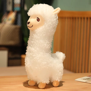 White   Alpaca