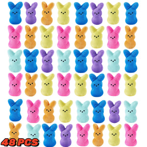 48 PCS