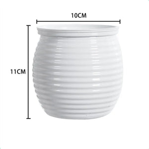 White-1
