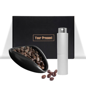 B-Silver Spray Kit