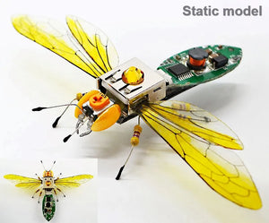 Wasp static