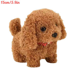 Teddy