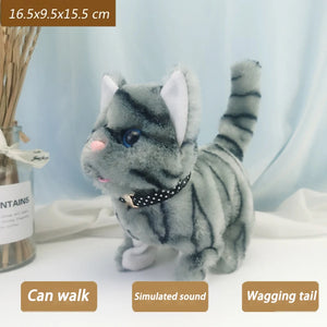 Collared cat Grey