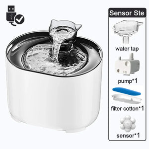 C-Sensor