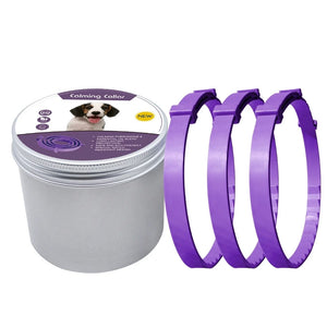 3pc-Dog-purple-62cm