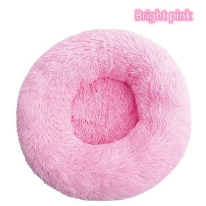 Bright Pink