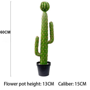 60CM