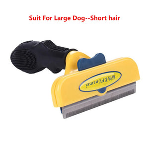 Dog L - Short hair
