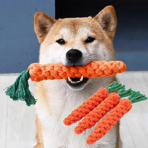 Carrot 20CM
