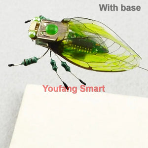 Cicada with base