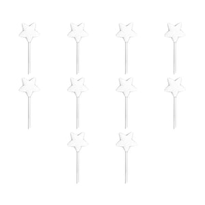 B 10PCS