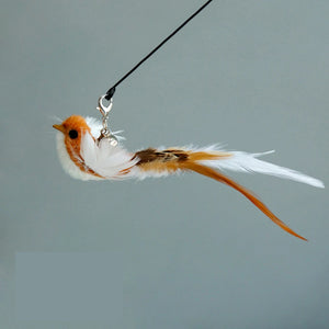 Coffee Bird
