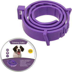Dog1-62cm