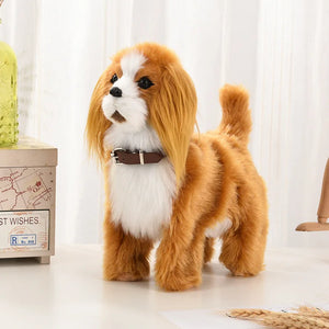 Cavalier King Charle