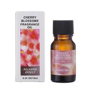 Cherry Blossoms