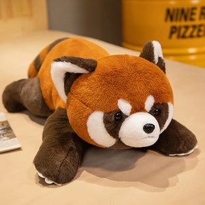 Lying raccoon