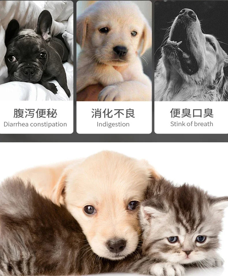 https://ae01.alicdn.com/kf/Sa8e75be1a51f430e9e702994f4055f0cs.jpg