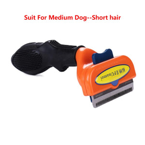 Dog M - Short hair