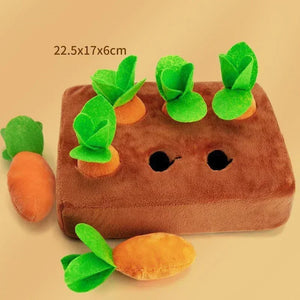 6 Carrots