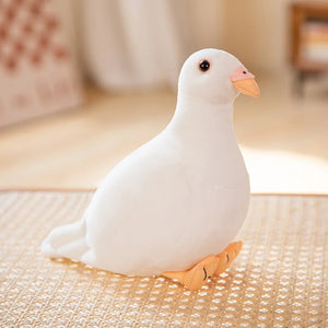 White Pigeon