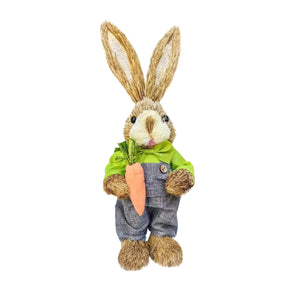 Y