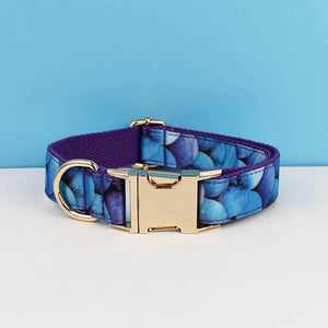Dog collar05