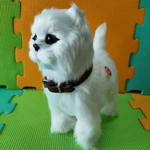 H No Leash