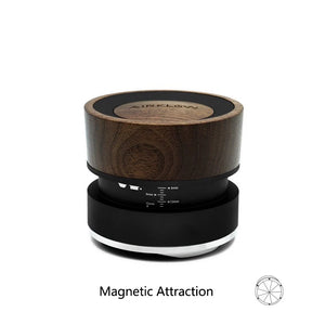 Magnetic Black