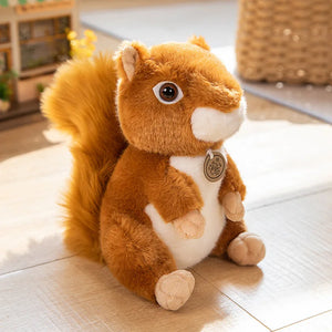 squirrel