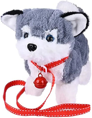 Alaska Dog