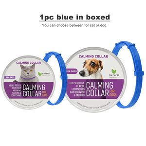 1pc Blue in boxed