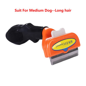Dog M - Long hair