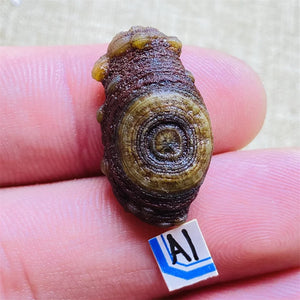 A1  3.3g  25mm
