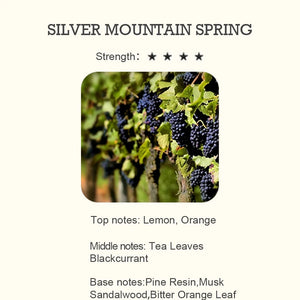SILVER MOUNTAIN