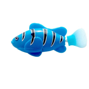 Fish K