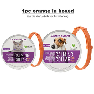 1pc Orange in boxed