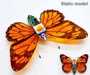 Butterfly static