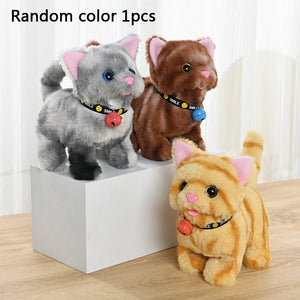 Random 2