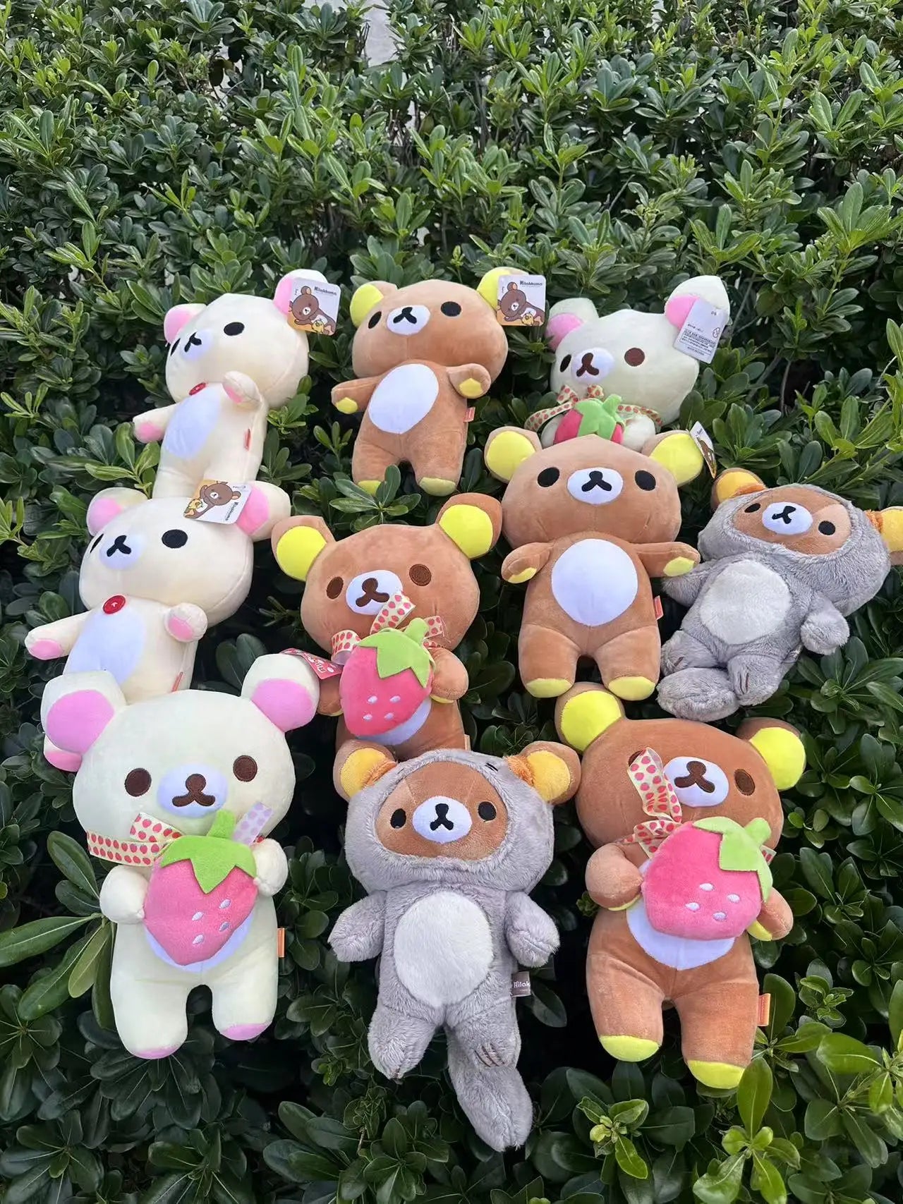 Sc226aa9f4f3944ccba444d47428d40b8d