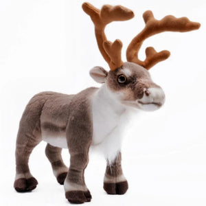 Only Elk
