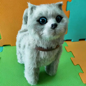 M No Leash