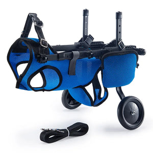 CJC17 blue